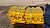 Башмак Komatsu D275 (ш.б. 610, 1G) 17M-32-31110