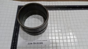 21N-70-31181
