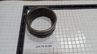 21N-70-31160